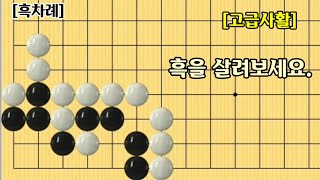 [196] 고급사활 / 흑을 살려보세요.