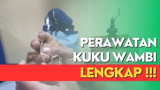 Perawatan Kuku Wambi LENGKAP!!!