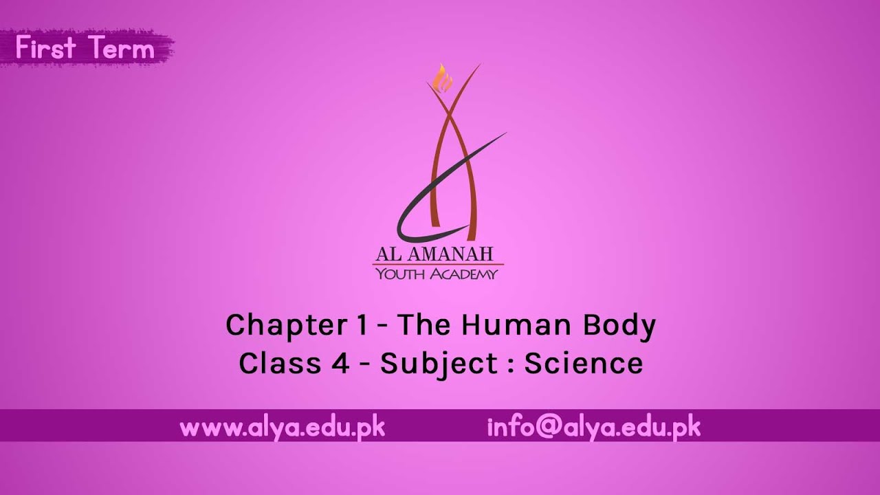 Chapter 01 | The Human Body [Class 4 - Science] - YouTube