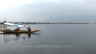 Shikara ride discovering the fascinating Dal Lake