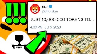 MUST WATCH: IF YOU STILL HOLD 10,000,000 SHIBA INU TOKENS, YOU HAVE TO WATCH THIS VIDEO! - SHIB NEWS