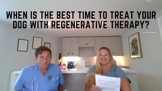 When Is The Best Time To Treat Your Dog With Regenerative Therapy?