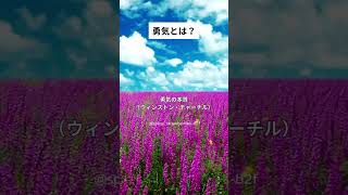 【勇気とは】人生を照らすことば