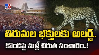 తిరుమల భక్తులకు అలర్ట్‌.. కొండపై మళ్లీ చిరుత సంచారం..! - TV9