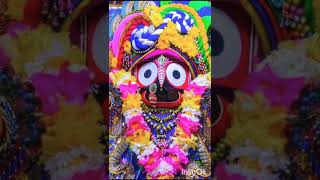 Jay jagannath🙏🙏🙏. Tote nidare nidare.................