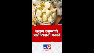 Benifits of Eating Garlic | लसूण खाल्याने नेमंक काय होत ? जाणुन घ्या फायदे #TV9D