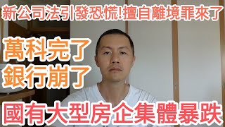 万科完了！国有大型房企集体暴跌！民生银行崩了！公司法修改引发恐慌！擅自离境罪来了！中国经济衰退.经济危机.楼市危机.债务危机.龙湖.碧桂园.注册资本.祝晶.润.跑路.脱钩.去风险.台风.苏拉.习近平.