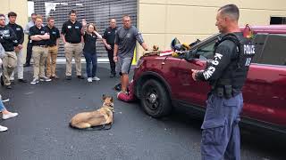 Junior Leadership Academy of Cape Coral K9 Demonstration