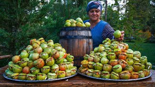 🍅  Stuffed Pickled Green Tomatoes: A Year-Round Delight