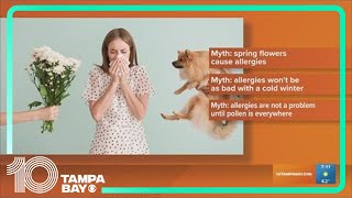 Busting spring allergy myths