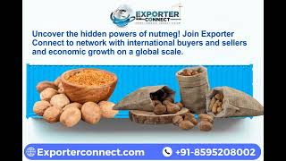 Nutmeg Exporter | Nutmeg Manufacturer | Nutmeg Supplier | Nutmeg Wholesaler | Largest Nutmeg World