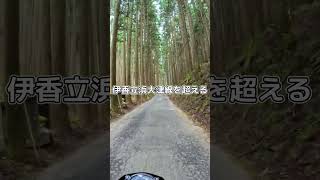 【新ツーリングコース開拓】京都・国道477号線の険しい山道を走破！川沿いの快適ルートも発見【ダイジェスト】