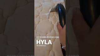 Deep clean by HYLA Refresh your bed, sofa \u0026 carpet regularly to prevent dust mites build-up.