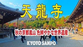 2024/11/22  見頃を迎える行楽シーズン!! 嵐山 世界遺産『天龍寺』色付き鮮やかな紅葉を楽しむ絶景さんぽ 🍁紅葉絶景映えスポットを巡る🍁 /秋さんぽ/ Kyoto walk [京都4K]