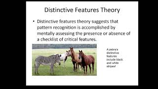 CognitionChapter4Part2DistinctiveFeatures