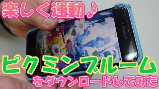 0220【日曜日】#55 楽しく運動　ピクミンブルームをダウンロードしてみた