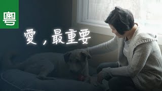 電視見證 TV1709 愛，最重要 (HD粵語)