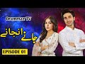 Jany Unjany - Episode 01- Hamza Sohail - Sajal Aly - HUM TV Drama - Drammaz TV