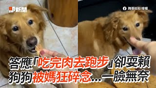 答應吃完肉去跑步卻耍賴　狗狗被媽碎念一臉無奈🤣｜寵物動物｜米克斯犬