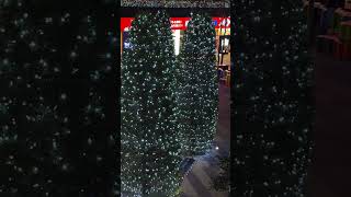 【クリスマスツリー】東京都内クリスマスツリー2024 | christmas tree