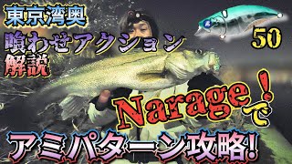 【アミパターン】をナレージで攻略!東京湾奥シーバス釣り！連発だ！