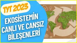 EKOSİSTEMİN CANLI VE CANSIZ BİLEŞENLERİ | Ekosistem Ekolojisi | TYT BİYOLOJİ 2023 | Bölüm: 40