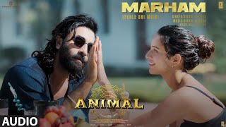 Marham (Pahle Bhi Main) | Animal | Vishal Mishra | Ranbir Kapoor, Tripti Dimri