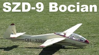 SZD-9 Bocian OldGliders, giant scale RC glider, Hranice 2020