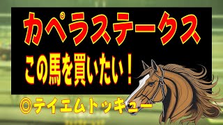 カペラステークス2024 GⅢレース　どの馬を買うか！