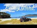 BRUNY ISLAND: Adventure Bay (Must do) Tasmania
