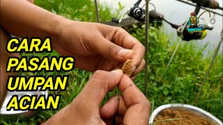 Tutorial membuat umpan acian sejuta umat ikan patin kolam harian #70