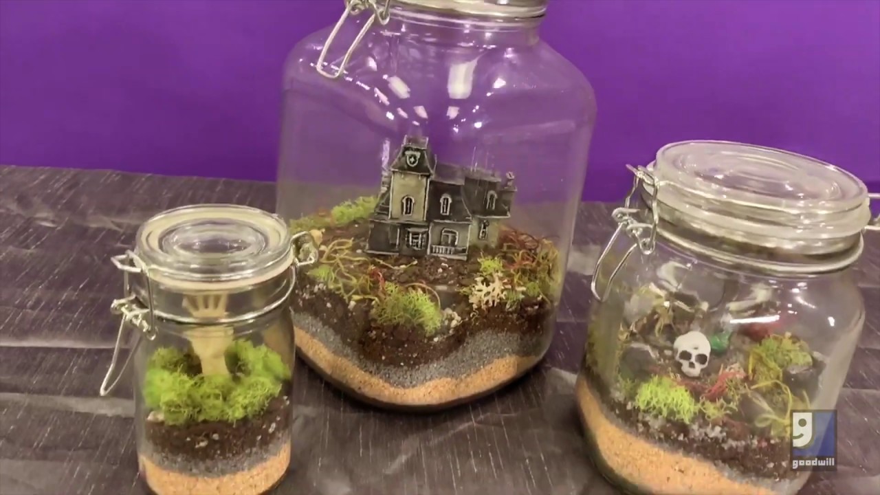 Diy Cemeterrariums Youtube