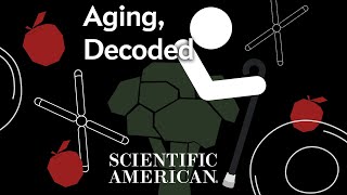 Decoded: Can We Stop Aging?