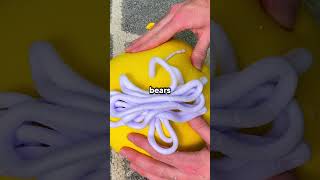 What S Your Oddly Specific Fear