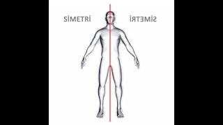 2.3.4. SINIF SİMETRİK ÇİZİMLER 2