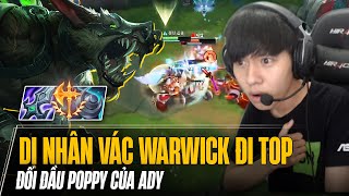 DỊ NHÂN THÁCH ĐẤU HÀN VÁC WARWICK ĐI TOP GẶP NGAY KÈO TỦ POPPY CỦA ADY VÀ CÁI KẾT