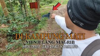 CAMPING HOROR‼️MENJELANG MAGRIB DI KAMPUNG MATI