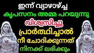 വിശ്വസിച്ചു പ്രാർത്ഥിച്ചാൽ നീ ചോദിക്കുന്നത് njan നിനക്ക് തരും കൃപാസനം അമ്മ 2024 ഫെബ്രുവരി 1#youtube