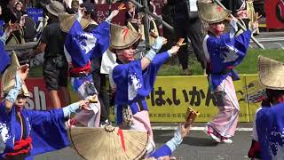 第66回よさこい祭り　高知市役所踊り子隊