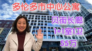 多伦多市中心公寓，刚交房的新楼盘，1+1室1卫，叫价55万