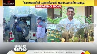 കൊലയാളി ആനയെ തളയ്ക്കാൻ കുംകിയാനകൾ തയ്യാർ | live