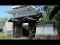 japanese castle in spring in 4k