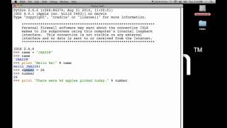 Python Tutorial 4: String Interpolation