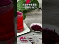 피로회복에 좋은 10종류의 차 2