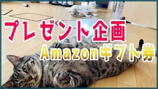 【プレゼント企画】チャンネル登録者数200名達成記念でAmazonギフト券を10名様にプレゼント。