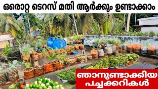 എല്ലാ പച്ചക്കറികളും ഒരൊറ്റ ടെറസിൽ 🥦🥬🥒🌶️🌽🥕🥔🍆🍅#garden #vegetables #terrac