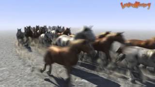 Flock of Wild Horses - LW 11.6 flocking system