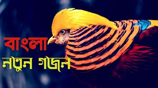 বাংলা গজল ২০২০|গজল|গজল২০২০|bangla new gojol|gazal bangla|gojol|gazal|ghazal2020|gojol2020
