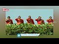 telangana state republic day rehearsals 71st republic day celebrations rehearsals tolivelugu tv