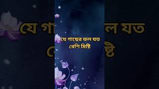 যদি বেশি ভালো মানুষ হও #inspiration #shortvideo #emotional #viral #motivation #hearttouching #quotes